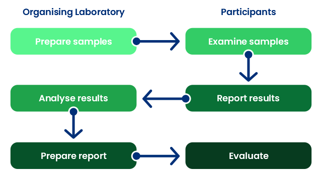 Proficiency Testing flowchart